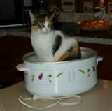 I Love My Crockpot -December