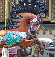 ATC Carnival/ Circus