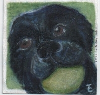 Watercolor Mixed Media 4x4