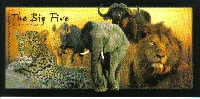 A Postcard For You #5