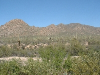 My Favorite Outdoor Ramble