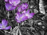 for photography lovers!!