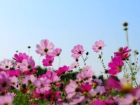 Spring is in the air