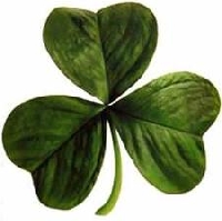 St. Patricks Day Whimsey Jar- USA only