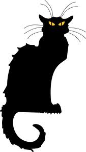 Cat Dotee