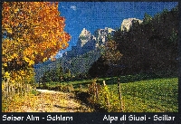 Surprise postcards
