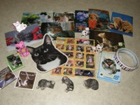 CAT item swap