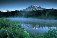 Back to nature PC swap #6