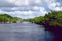 SS ~ Nearest body of WATER photo