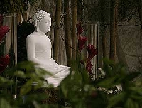 Buddha postcard #2