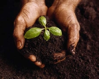 Seed Swap