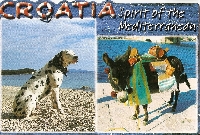 Donkey Postcard Swap