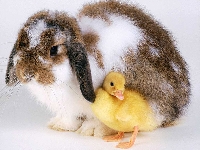 No cost- Easter mosaic swap
