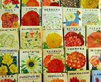 Seed Swap