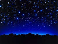 Up In the Sky Series- Little Star Dotee