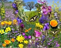Altered card postcards