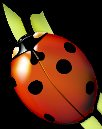 Ladybug ATC