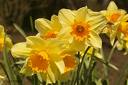 Spring has Sprung