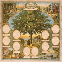 Family Histories