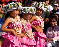 ALOHA!!!! ATC (Int)