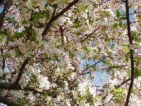 Stepping into Spring to the Dollar Store!