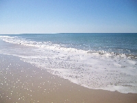 LOCAL AREA POSTCARD