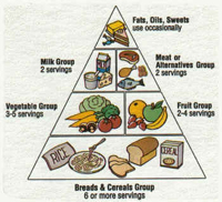 Food for Thought ATCs