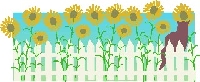 It's time to Garden!  (US & Canada)