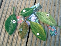 Hand Felted Brooch Swap - International