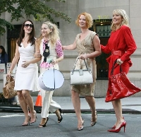Sex in the City handbag/clutch fill
