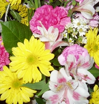 Summer Flowers Chunky Book Pages