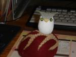 Craft lovers begin your crafting
