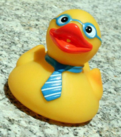 Ducky Matchbox Shrine Swap