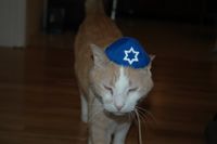 Handmade Judaica Swap - Int'l