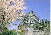 POSTCARD WITH A TRADEMARK FROM YOUR CITY #4