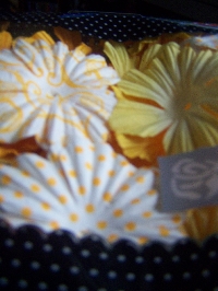 June Scrap Me Envie Summer Themed