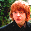 I Miss Harry Potter