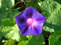my best digital photo