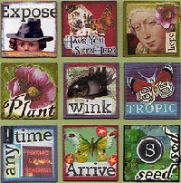 Inchies:  For Anyone! EDIT
