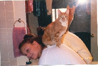 Cat Postcards