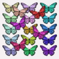 ATTENTION SWAPPERS: Butterfly ATC: USA ONLY