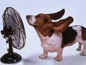 Dog Days of Summer Mix CD Music Swap