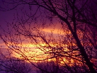 Beautiful Skies Photo Swap