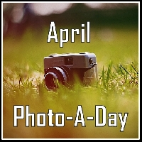Swap-bot swap: April Photo-A-Day