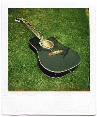 Green Polaroid
