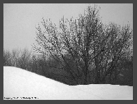 Black & White Matchbox Fill
