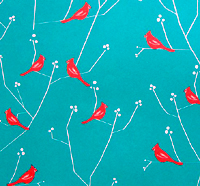 ♫ Birds everywhere we look! [Private]