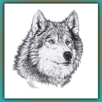 Wolves ATC swap! Drawn, Painted or Collaged
