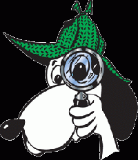 Swap detective, US & Canada Only