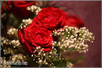 Photos Taken With Love